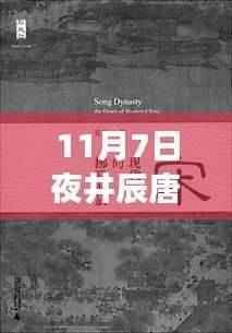 揭秘井辰唐心瑶最新章节,情感与命运的交织之夜(专刊)