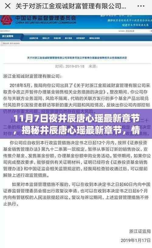 揭秘井辰唐心瑶最新章节,情感与命运的交织之夜(专刊)