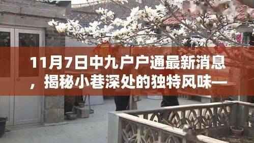 探寻中九户户通最新消息中的隐藏特色小店,小巷深处的独特风味揭秘