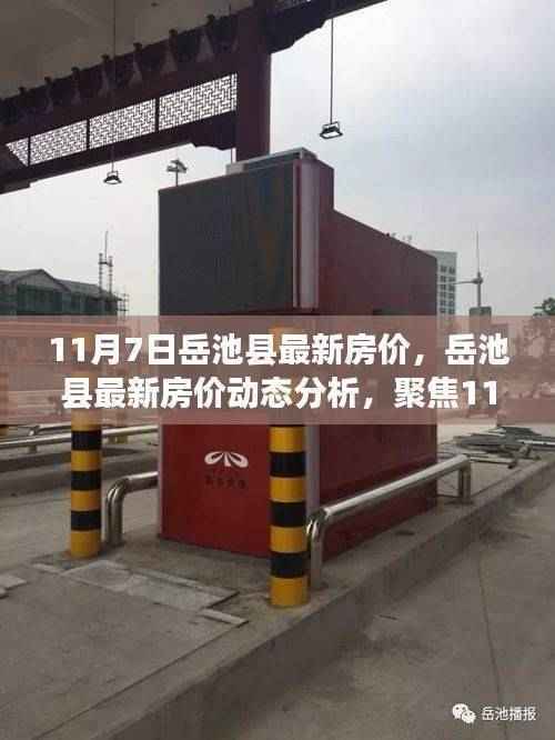 橘虞初梦 第46页