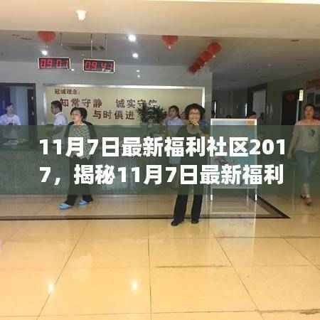 揭秘,11月7日最新福利社区2017深度解读与三大要点分析