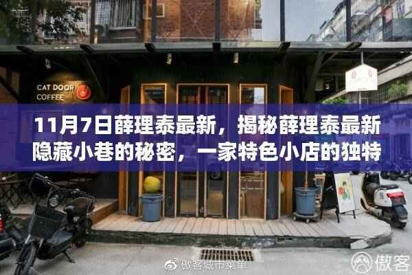 揭秘薛理泰隐藏小巷的特色小店,独特魅力之旅