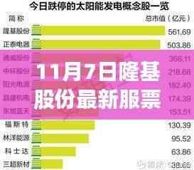 隆基股份最新服务票操作指南,从初学者到进阶用户的全面指南(11月7日更新)