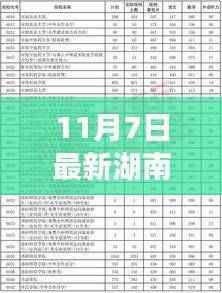 湖南二本最新投档线公布，解读背后的故事与深远影响