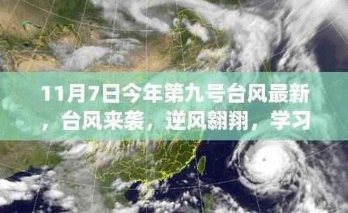 台风来袭,逆风翱翔,学习变化中的自信与成就感之旅最新报道