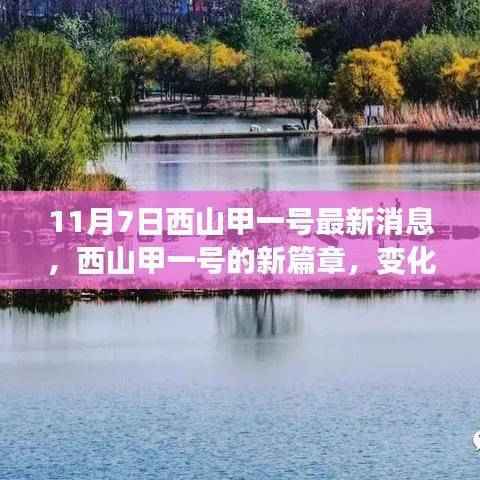 商品分类 第610页