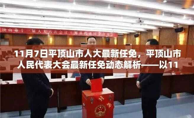 平顶山市人大最新任免动态解析,11月7日中心发布的人事调整概览