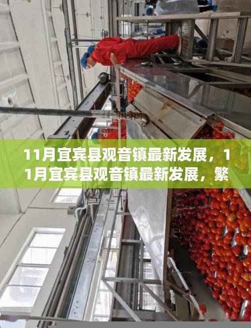 宜宾县观音镇繁荣崛起背后的故事，最新发展揭秘