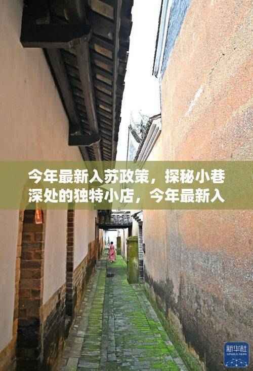 入苏政策下的惊喜发现，小巷深处独特小店探秘