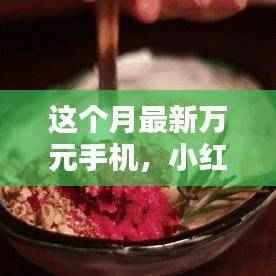 这个月的顶级之选,小红书爆款推荐最新万元手机大盘点