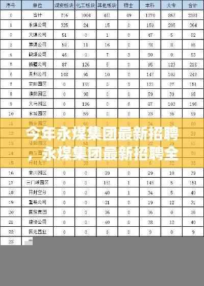 永煤集团最新招聘全面解析,特性、体验、竞争分析与目标用户群体深度探讨