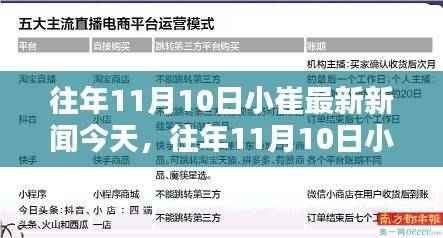 往年11月10日小崔新闻回顾与焦点解析,今日焦点一览