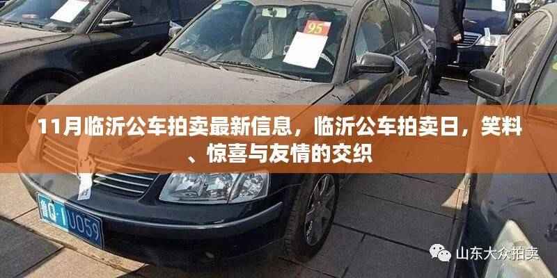 临沂公车拍卖日,笑料、惊喜与友情的交织——最新拍卖信息一览