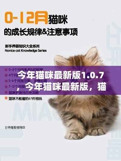 猫咪生活指南最新版1.0.7，带你探索猫咪的世界