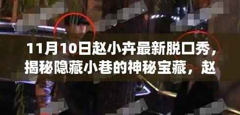 赵小卉脱口秀之夜,揭秘小巷神秘宝藏,独特风味与笑声的奇妙相遇