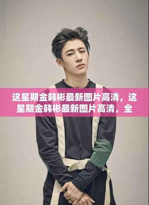 金韩彬最新高清图片大放送,全面评测与深度介绍指南