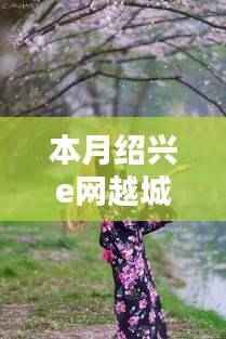 本月绍兴e网越城区最新招聘动态解析及招聘讯息发布