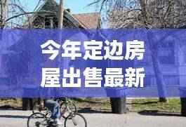 今年定边房屋出售最新消息,小巷深处的宝藏与特色小店故事探秘