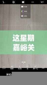嘉峪关最新招聘动态深度评测,本周岗位速递与深度分析