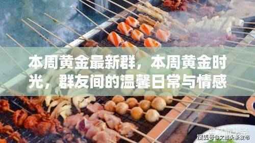 黄金时光群,本周温馨日常与情感纽带的黄金群友时光