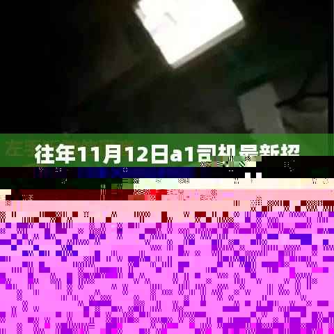 往年11月12日A1司机最新招聘信息详解与全面评测