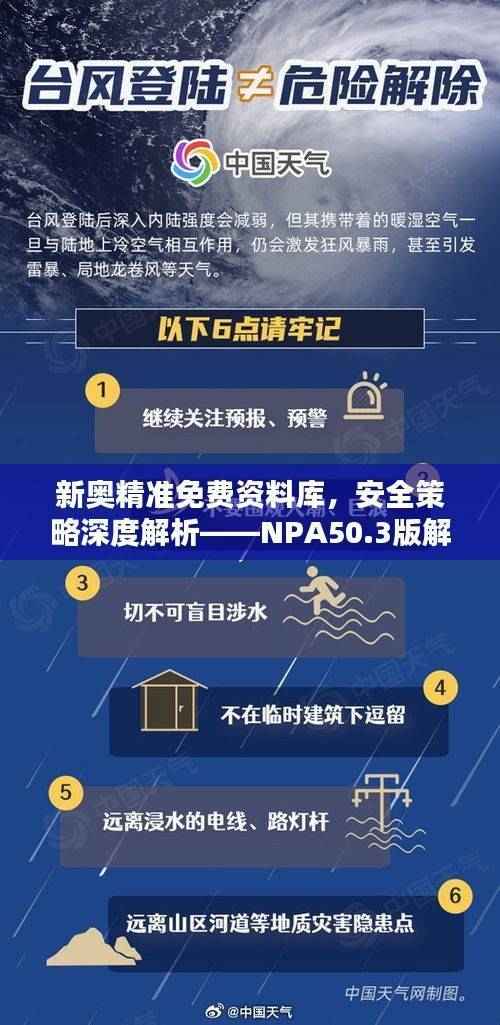 新奥精准免费资料库,安全策略深度解析——NPA50.3版解析版