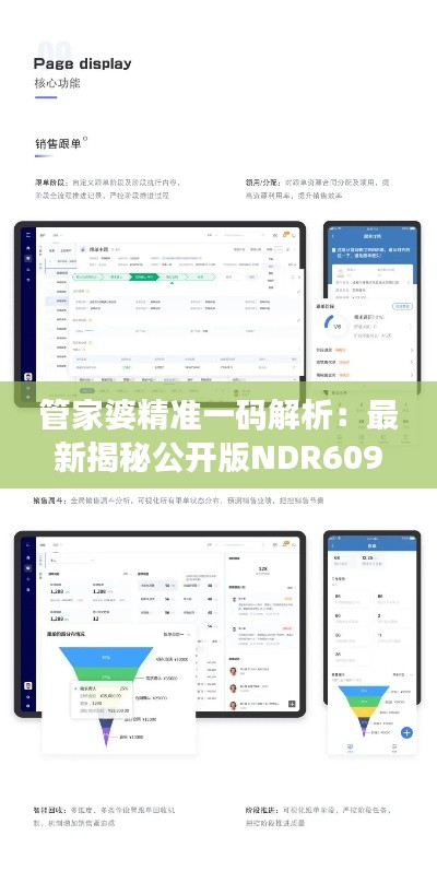 管家婆精准一码解析:最新揭秘公开版NDR609.66解答