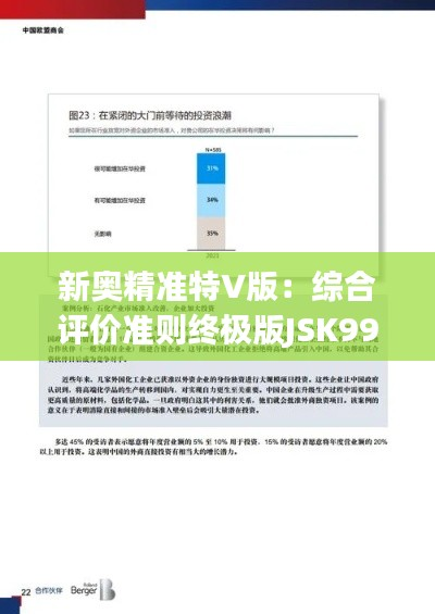 新奥精准特V版:综合评价准则终极版JSK991.94