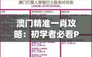 澳门精准一肖攻略:初学者必看PHB474.22策略解析