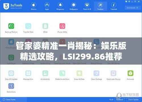 管家婆精准一肖揭秘：娱乐版精选攻略，LSI299.86推荐