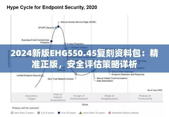2024新版EHG550.45复刻资料包:精准正版,安全评估策略详析