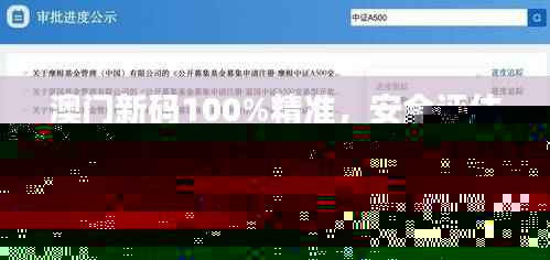 澳门新码100%精准,安全评估策略方案(副本FEQ137.97)