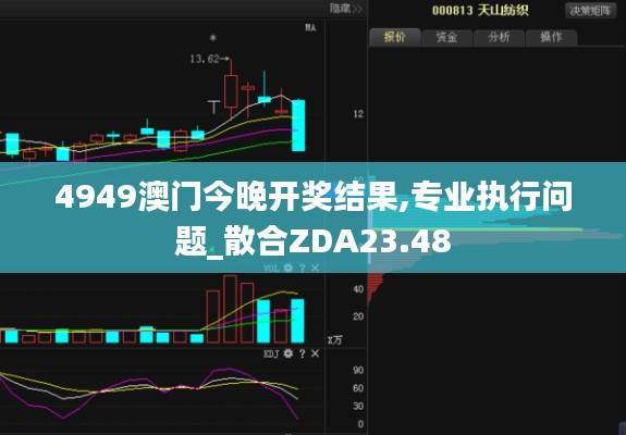 4949澳门今晚开奖结果,专业执行问题_散合ZDA23.48