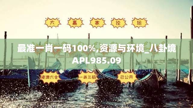 最准一肖一码100%,资源与环境_八卦境APL985.09