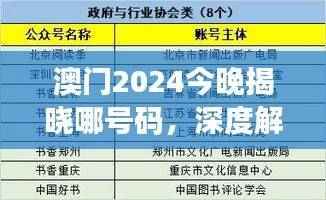澳门2024今晚揭晓哪号码,深度解析评估:BTP740.08版