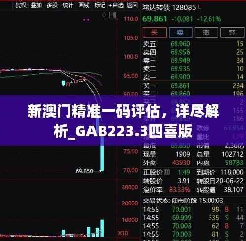 新澳门精准一码评估,详尽解析_GAB223.3四喜版