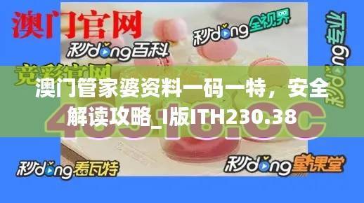 澳门管家婆资料一码一特,安全解读攻略_I版ITH230.38