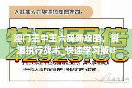 澳门王中王六码新攻略,资源执行战术_快速学习版UNM80.66