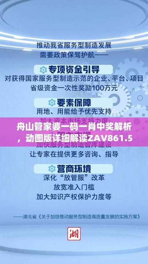 舟山管家婆一码一肖中奖解析,动图版详细解读ZAV861.56