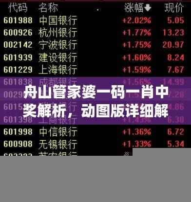 舟山管家婆一码一肖中奖解析,动图版详细解读ZAV861.56