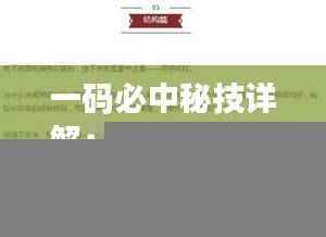 一码必中秘技详解：核心解读与铸体境ICB129.35赏析