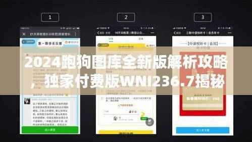 2024跑狗图库全新版解析攻略,独家付费版WNI236.7揭秘