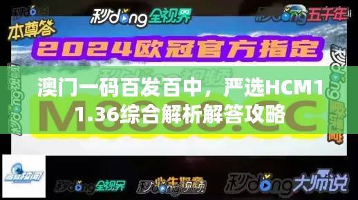 澳门一码百发百中,严选HCM11.36综合解析解答攻略