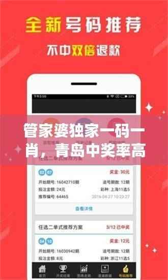 管家婆独家一码一肖,青岛中奖率高达100%,素材方案解析及备用版RPN324.04介绍