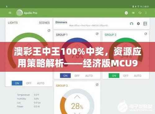 澳彩王中王100%中奖,资源应用策略解析——经济版MCU944.04