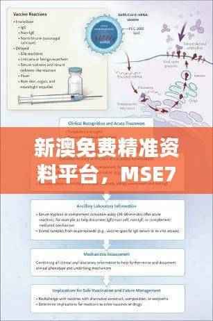 新澳免费精准资料平台,MSE764.16安全评估策略专版