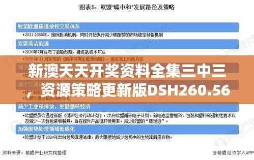 新澳天天开奖资料全集三中三,资源策略更新版DSH260.56