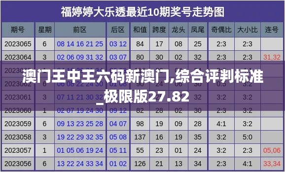 澳门王中王六码新澳门,综合评判标准_极限版27.82