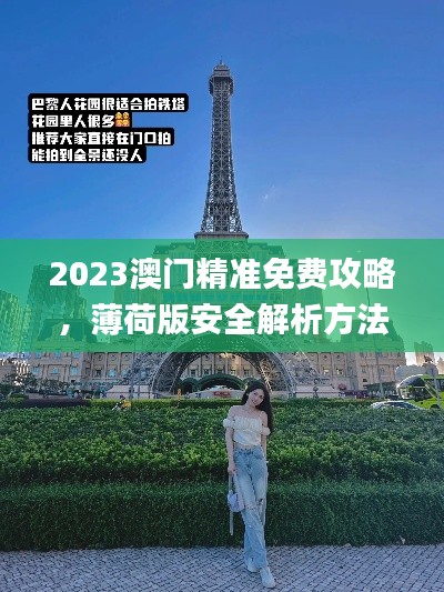 2023澳门精准免费攻略,薄荷版安全解析方法_XHU161.86