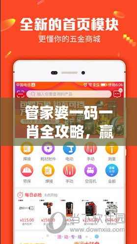 管家婆一码一肖全攻略,赢家揭晓,国际版KNV734.89战绩公布